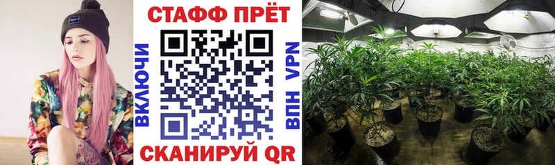Где найти наркотики Сегежа Амфетамин А ПВП ГАШ МЕТАМФЕТАМИН Конопля МЕФ